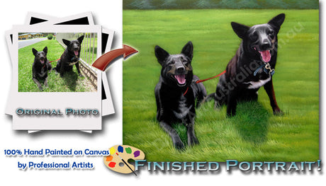 Custom Pet Portraits