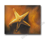 Offshore Star