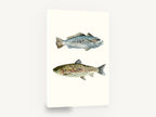 Two Speckled Fish, speckled trout watercolour fish pair, animal canvas wall art print ready to hang
