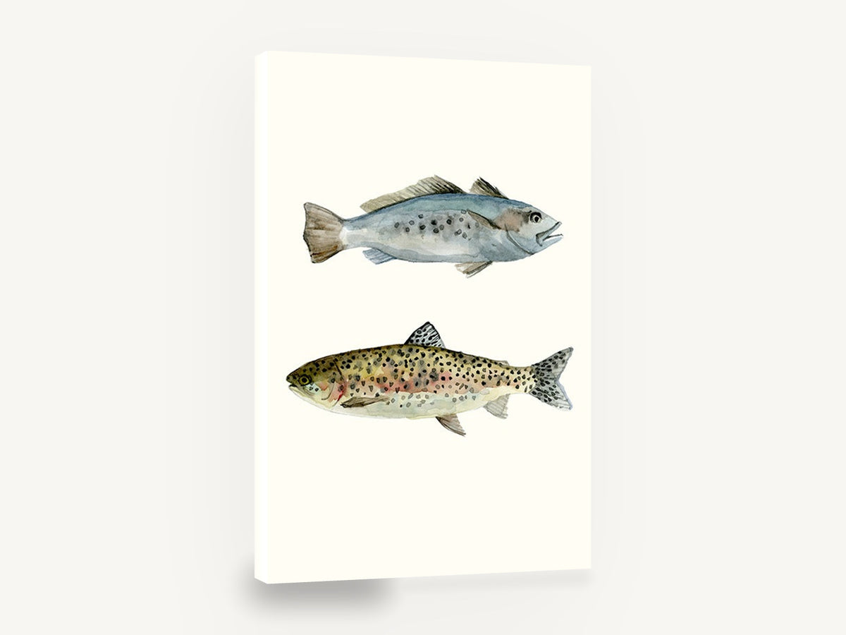 Two Speckled Fish, speckled trout watercolour fish pair, animal canvas wall art print ready to hang