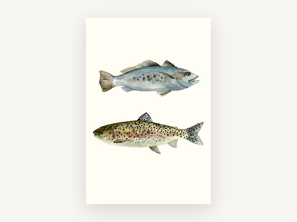 Two Speckled Fish, speckled trout watercolour fish pair, animal canvas wall art print, front view