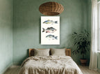 Three Striped Fish animal canvas print on the wall of a bedroom