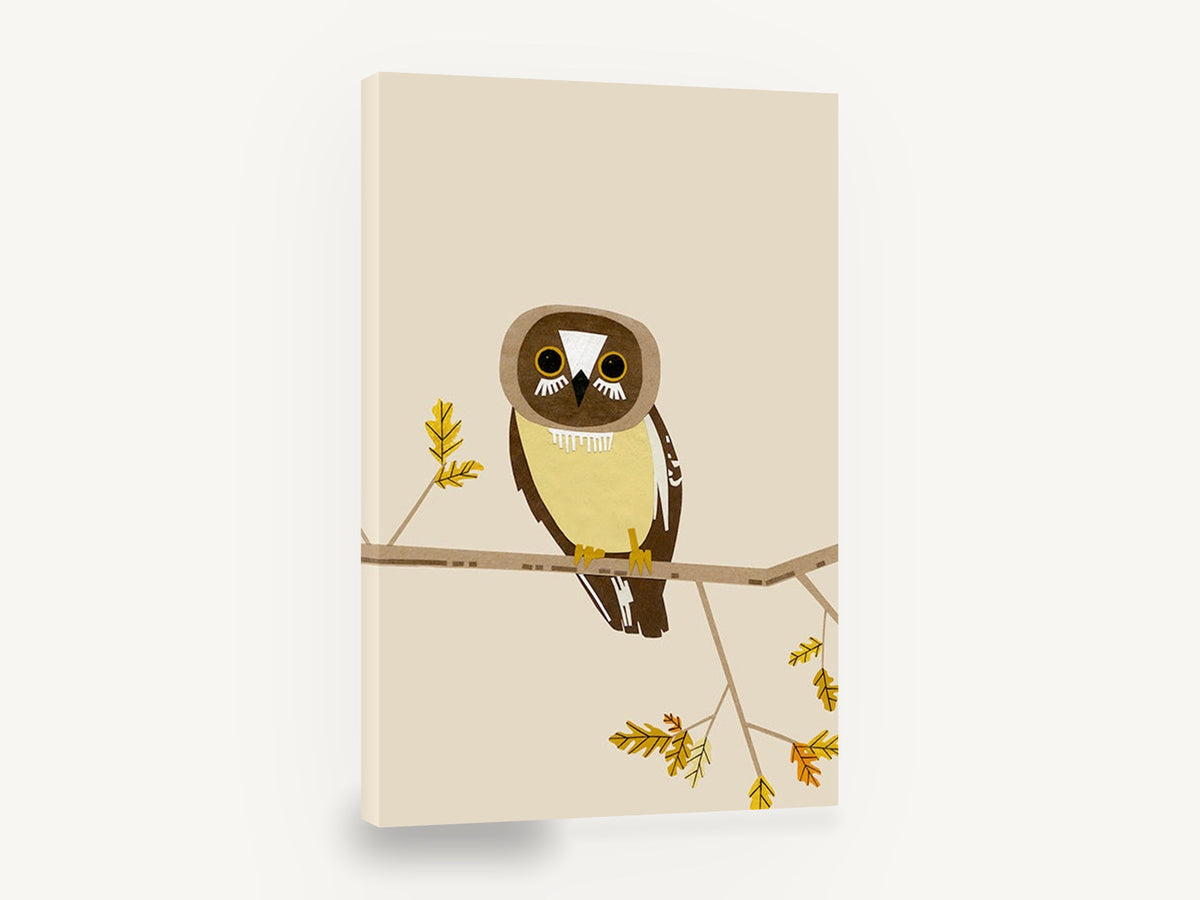 Watchful Boobook Owl, owl on branch paper collage illustration, floral canvas wall art print ready to hang