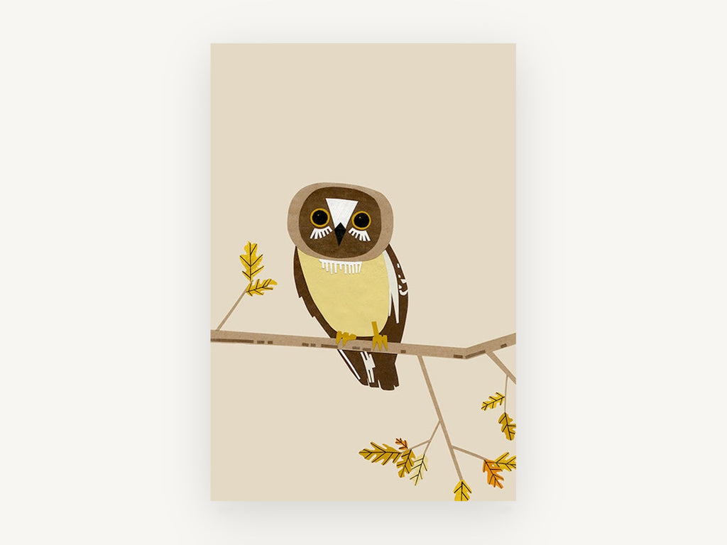 Watchful Boobook Owl, floral canvas wall art print, front view
