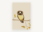Watchful Boobook Owl, floral canvas wall art print, front view