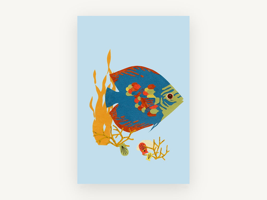 Paper Cut Angelfish, coastal canvas wall art print, front view