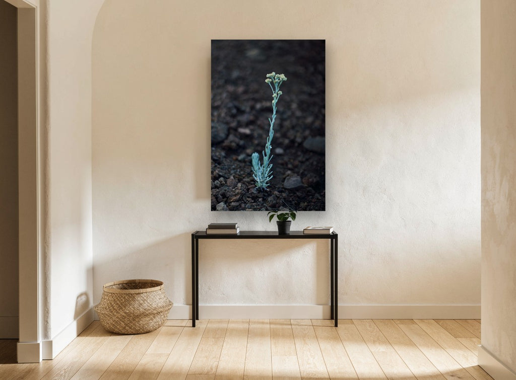 Lone Silver Sprig floral canvas print on the wall of a hallway