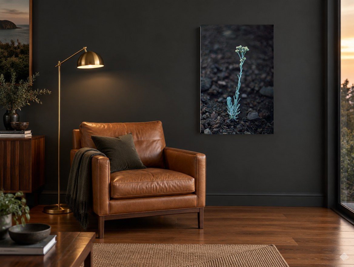 Lone Silver Sprig floral canvas print on the wall of a charcoal living room