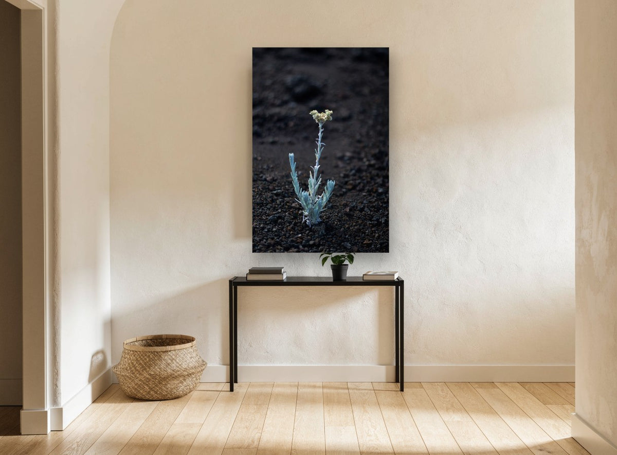 Lone Silver Sprout floral canvas print on the wall of a hallway