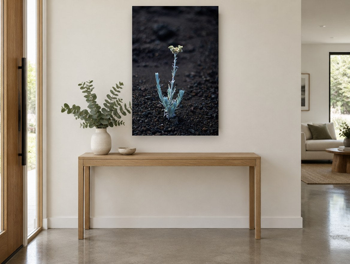 Lone Silver Sprout floral canvas print on the wall of a entry hall