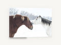 Winter Horses Nose to Nose, two horses in snow photograph, landscape canvas wall art print ready to hang