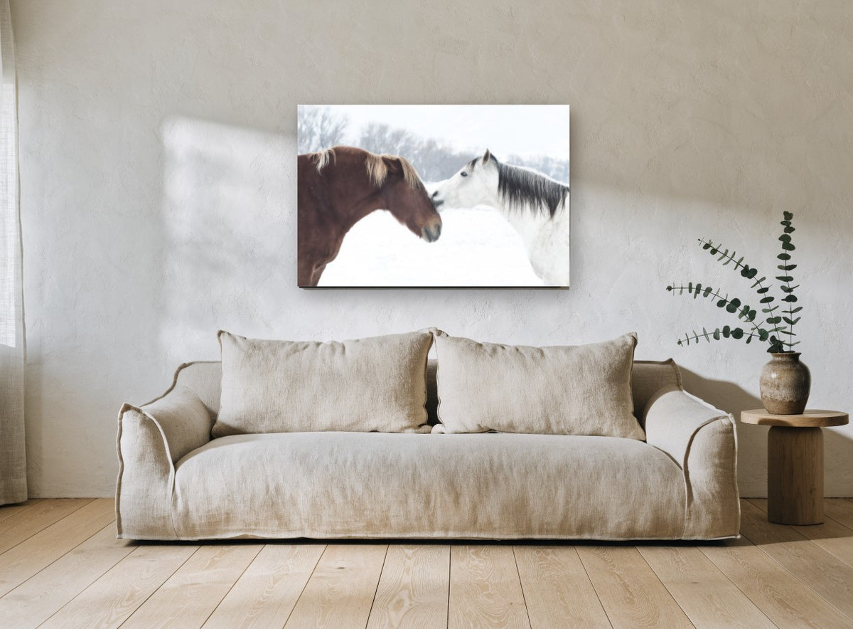 Winter Horses Nose to Nose landscape canvas print on the wall of a living room