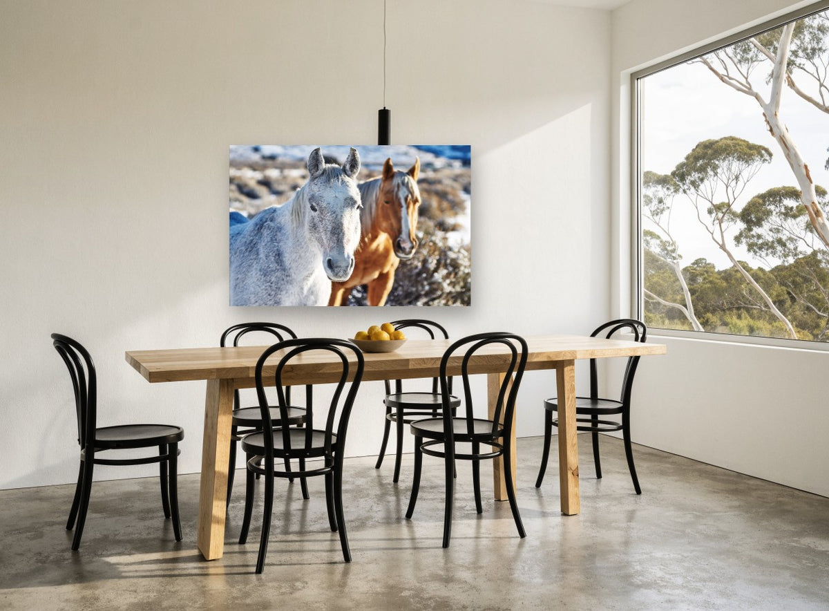 Frosted Horse Pair landscape canvas print on the wall of a dining room