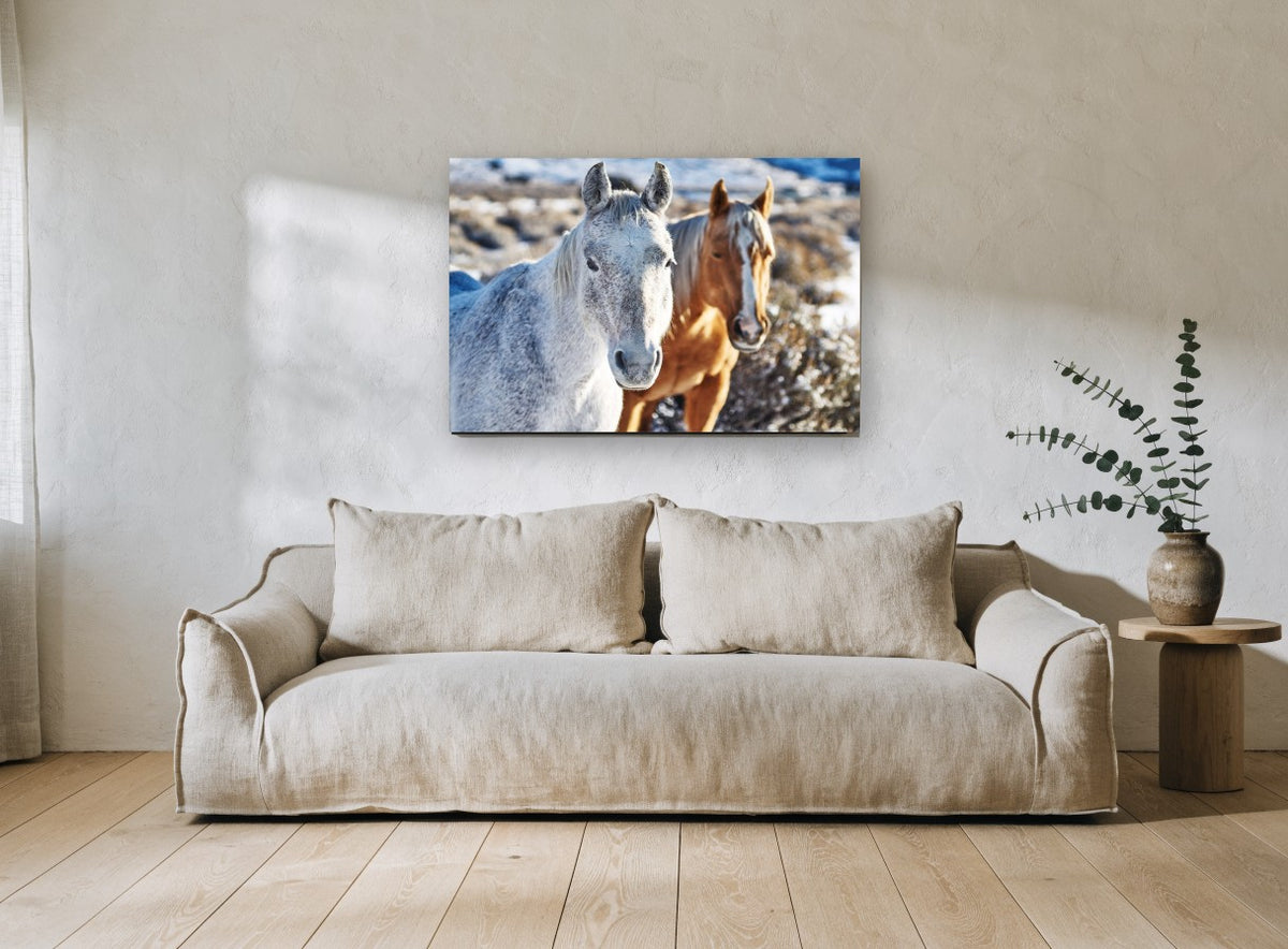 Frosted Horse Pair landscape canvas print on the wall of a living room