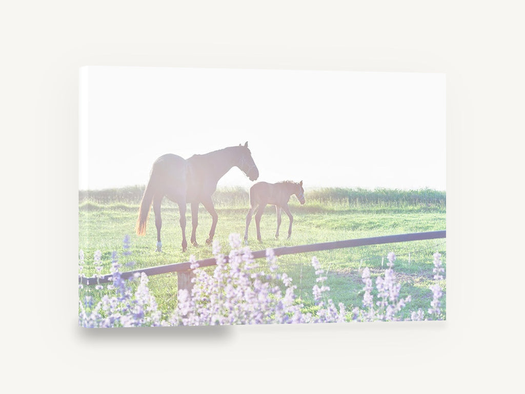 Mare and Foal Morning, mare and foal pasture photograph, landscape canvas wall art print ready to hang