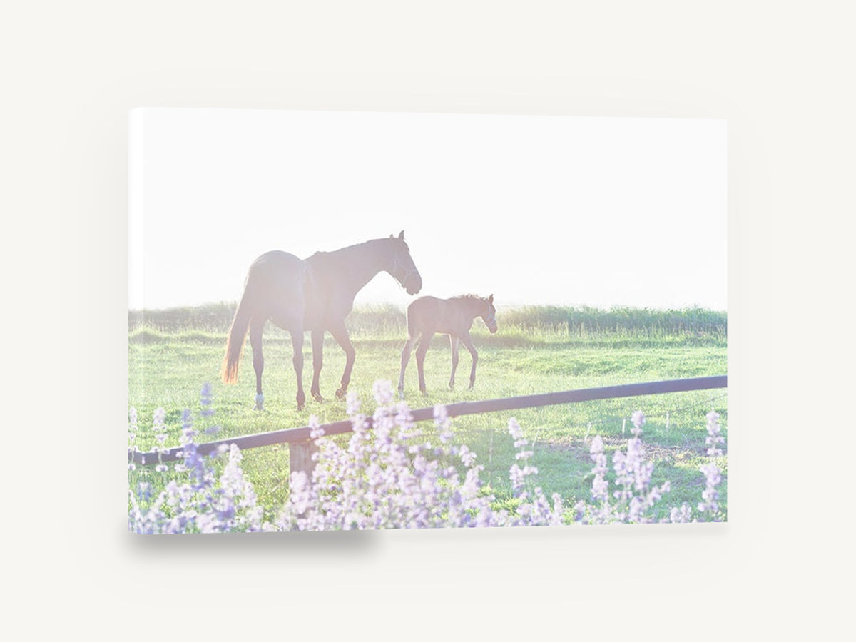 Mare and Foal Morning, mare and foal pasture photograph, landscape canvas wall art print ready to hang