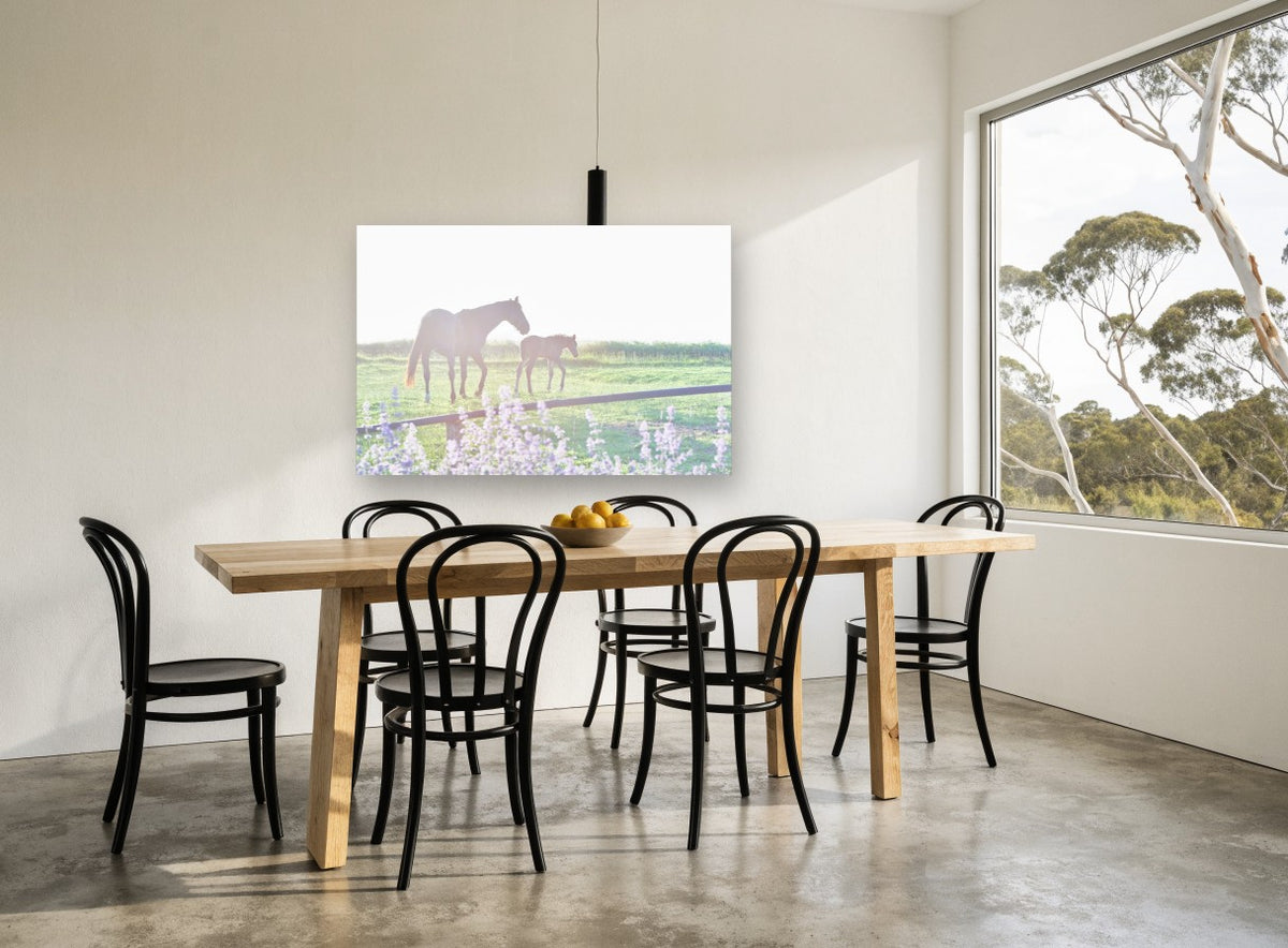 Mare and Foal Morning landscape canvas print on the wall of a dining room