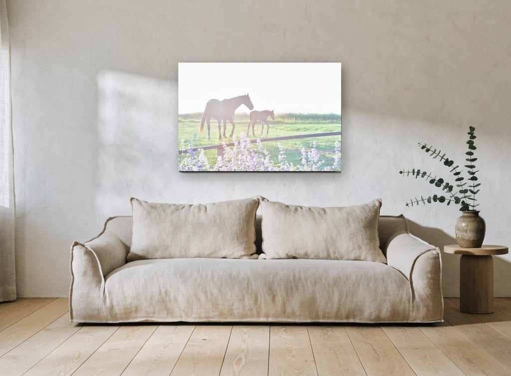 Mare and Foal Morning landscape canvas print on the wall of a living room