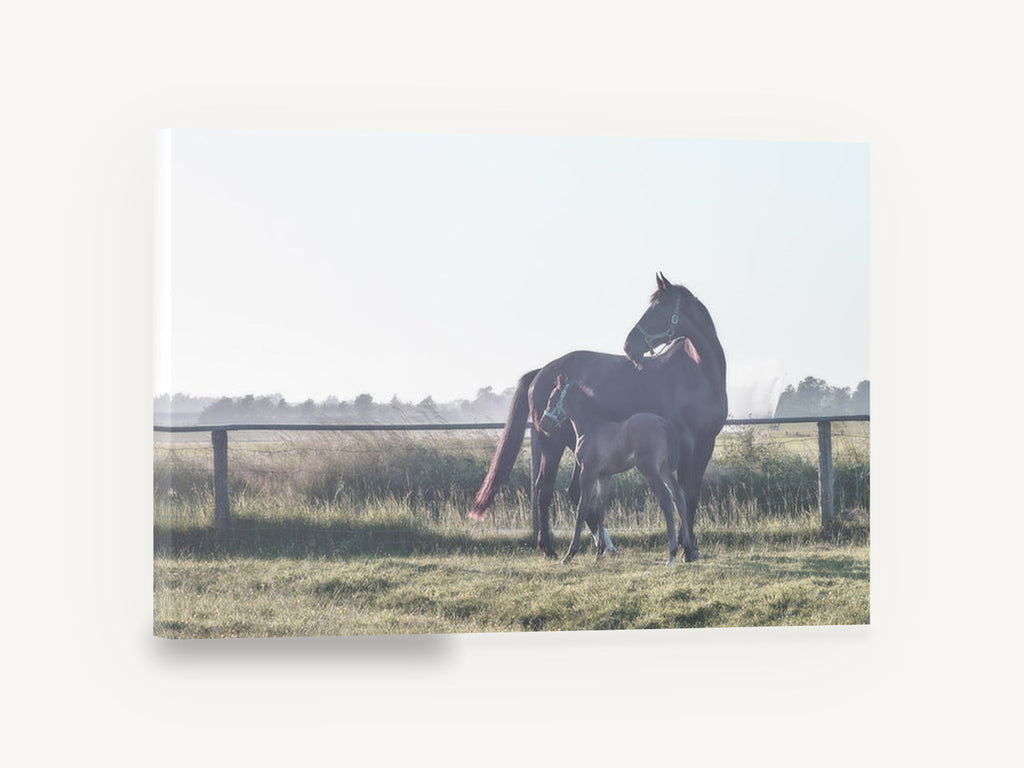 Mare and Foal Dawn, mare and foal paddock photograph, landscape canvas wall art print ready to hang