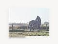Mare and Foal Dawn, mare and foal paddock photograph, landscape canvas wall art print ready to hang