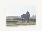 Mare and Foal Dawn, mare and foal paddock photograph, landscape canvas wall art print ready to hang
