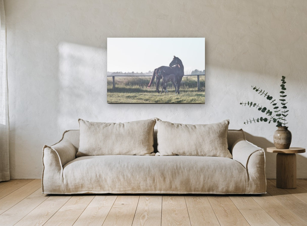Mare and Foal Dawn landscape canvas print on the wall of a living room