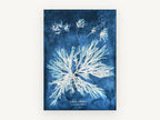 Indigo Seaweed Frond Burst, vintage canvas wall art print, front view