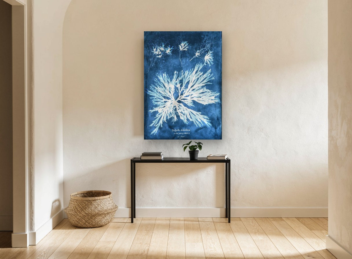 Indigo Seaweed Frond Burst vintage canvas print on the wall of a hallway