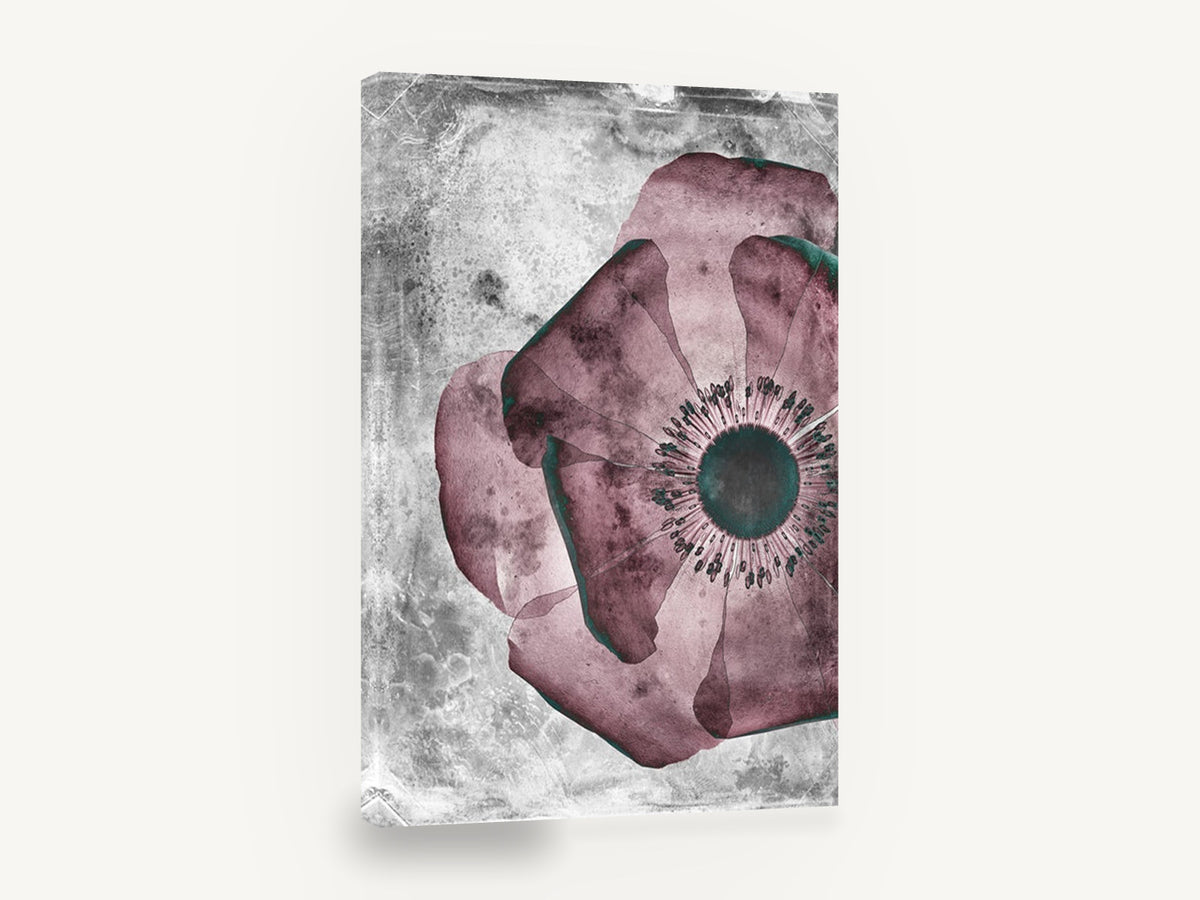Mulberry Poppy Negative, mulberry poppy vintage plate floral, floral canvas wall art print ready to hang
