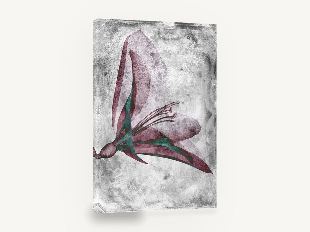 Inverted Lily Study, translucent lily botanical negative, floral canvas wall art print ready to hang