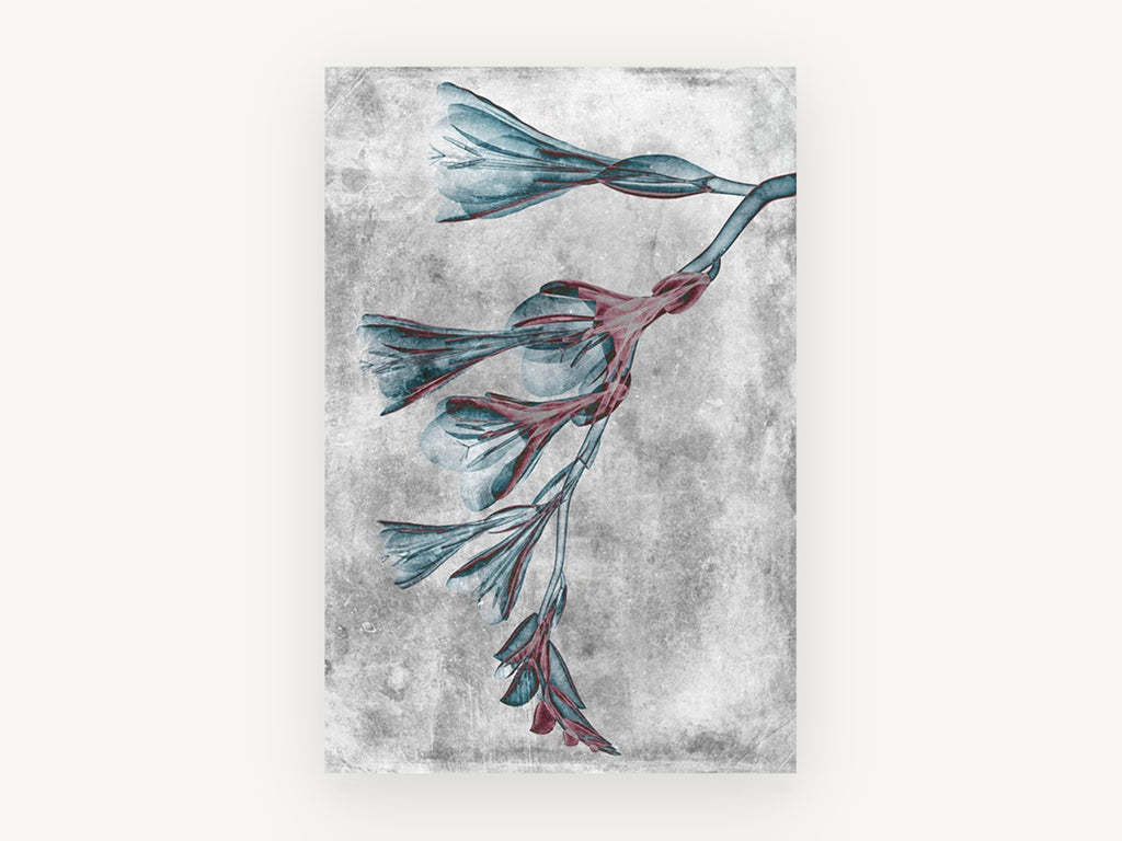 Teal Blooms in Negative, floral canvas wall art print, front view