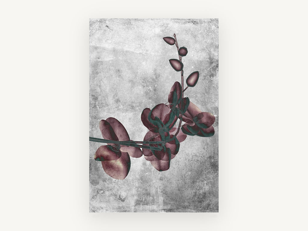 Burgundy Orchid Spray, floral canvas wall art print, front view