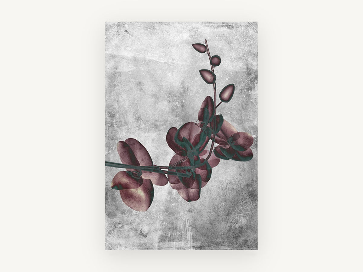 Burgundy Orchid Spray, floral canvas wall art print, front view