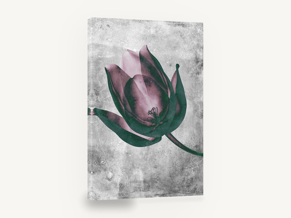 Inverted Tulip Bloom, inverted tulip floral botanical, floral canvas wall art print ready to hang