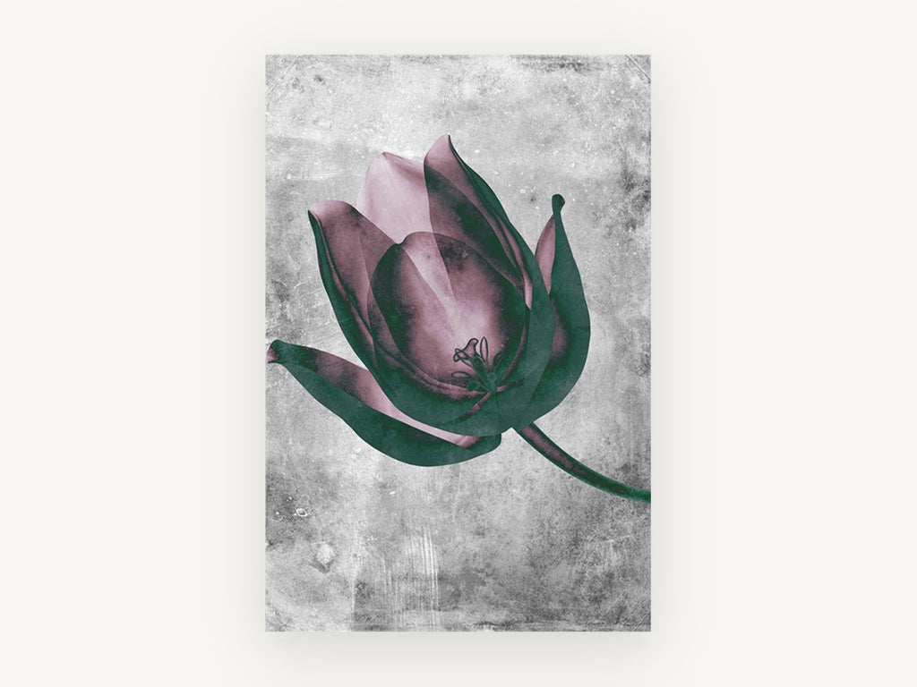 Inverted Tulip Bloom, floral canvas wall art print, front view