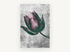 Inverted Tulip Bloom, floral canvas wall art print, front view