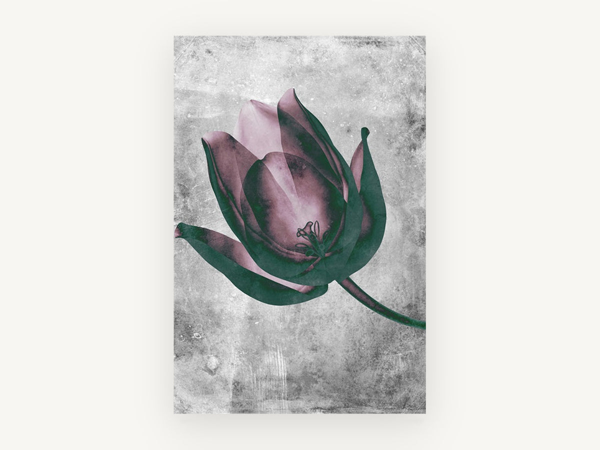 Inverted Tulip Bloom, floral canvas wall art print, front view