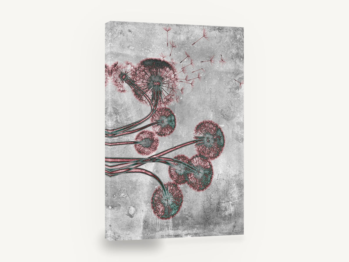 Dandelion Drift, dandelion seed heads grey botanical, floral canvas wall art print ready to hang