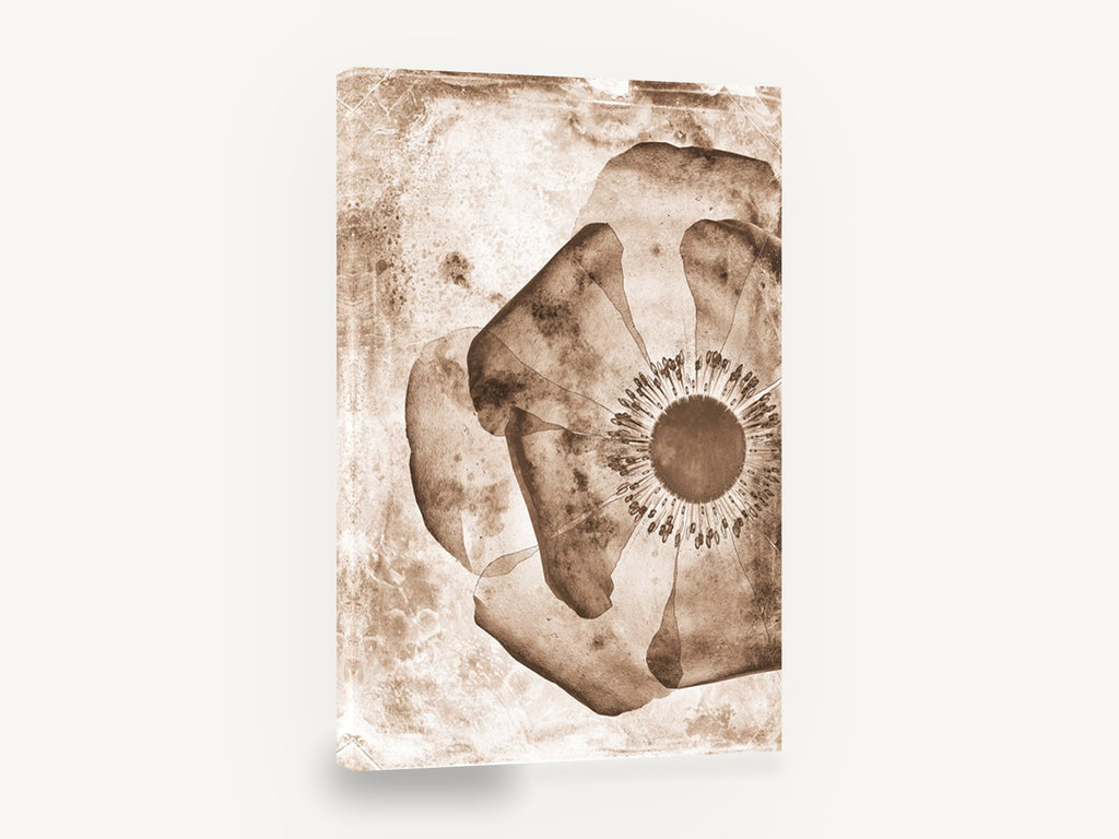 Sepia Poppy Negative, sepia poppy flower vintage botanical, floral canvas wall art print ready to hang
