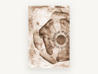 Sepia Poppy Negative, floral canvas wall art print, front view