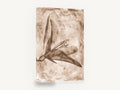 Sepia Lily Negative, sepia lily botanical photograph, floral canvas wall art print ready to hang