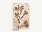 Sepia Freesia Stem, sepia freesia stem botanical photograph, floral canvas wall art print ready to hang
