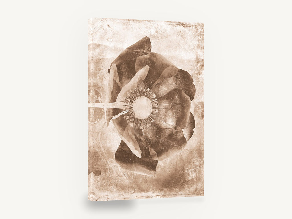 Sepia Poppy Negative, sepia poppy negative floral photograph, floral canvas wall art print ready to hang