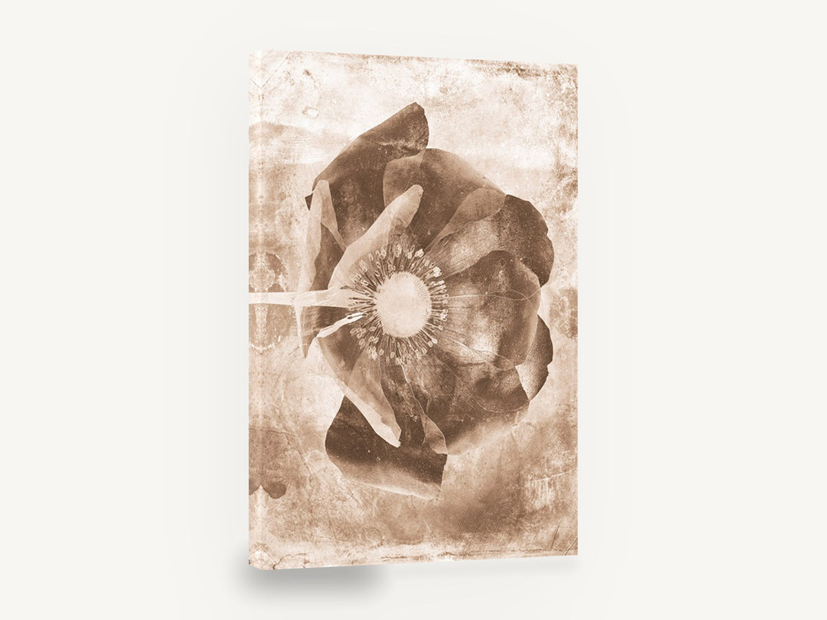 Sepia Poppy Negative, sepia poppy negative floral photograph, floral canvas wall art print ready to hang