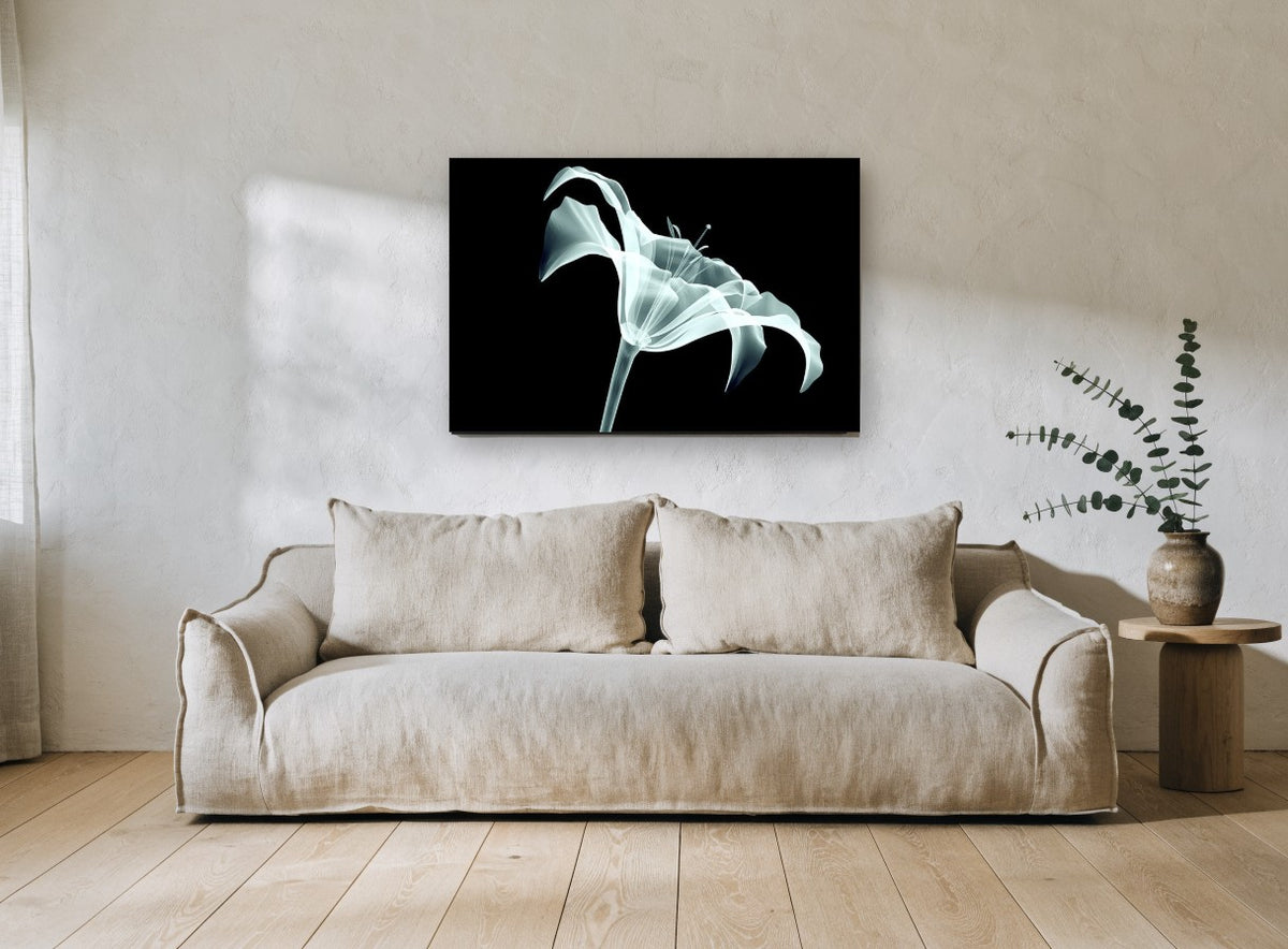 Lily in X-Ray Glow floral canvas print on the wall of a living room