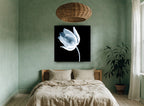 Ghost Tulip Bloom floral canvas print on the wall of a bedroom