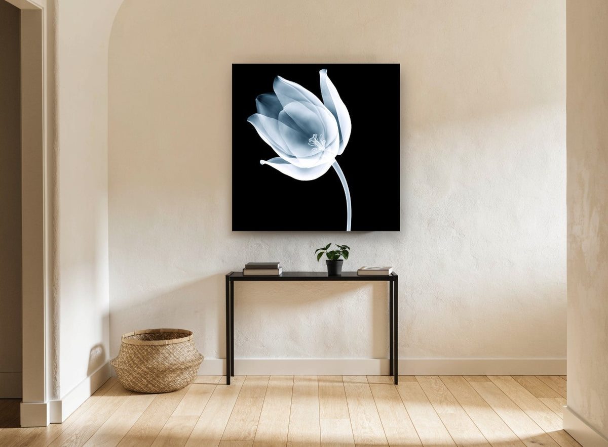 Ghost Tulip Bloom floral canvas print on the wall of a hallway