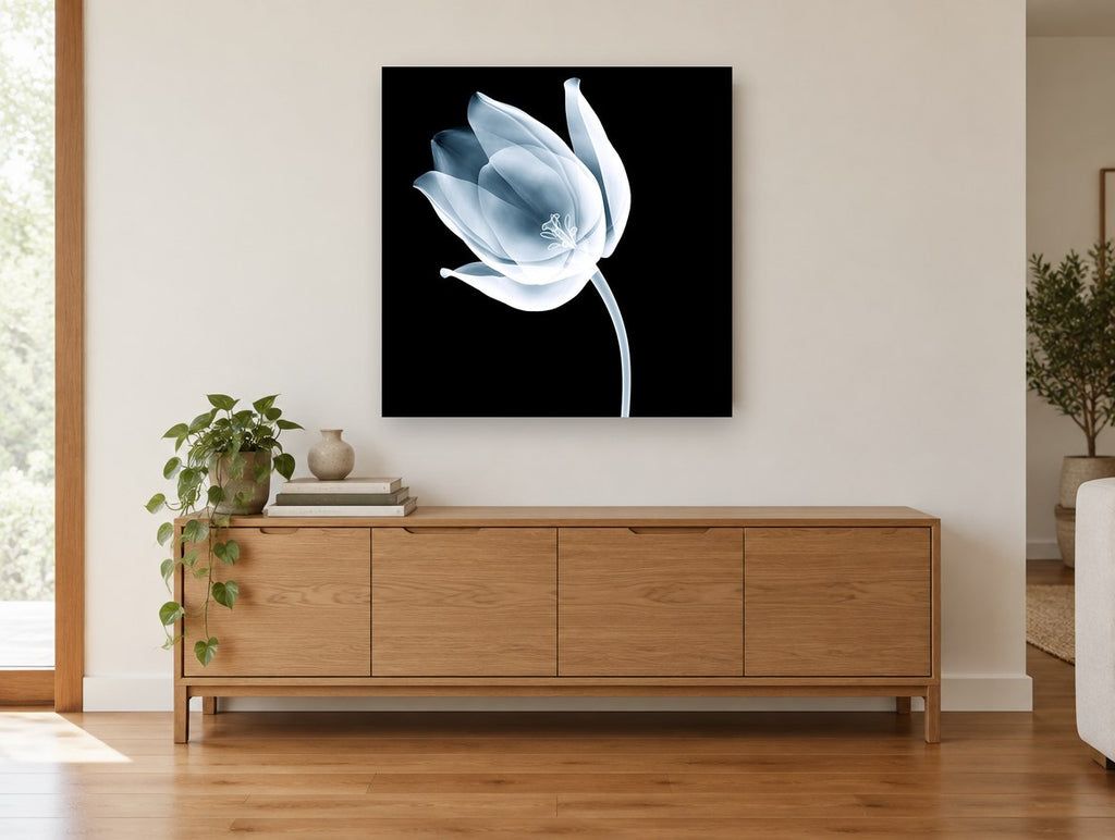 Ghost Tulip Bloom floral canvas print on the wall of a living room above a sideboard