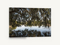 Moss Canopy Reflection, mossy oak lake reflection photograph, landscape canvas wall art print ready to hang