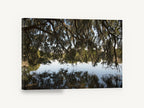 Moss Canopy Reflection, mossy oak lake reflection photograph, landscape canvas wall art print ready to hang